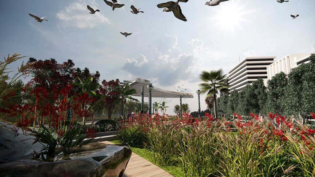 50569187556_38988246d8_o_54164736912_o