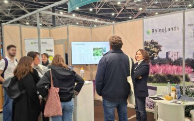 RhinoLands Worldwide: Highlights From 2025